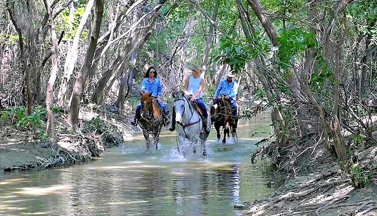 PUBLIC TRAIL RIDES PUBLIC TRAIL RIDES