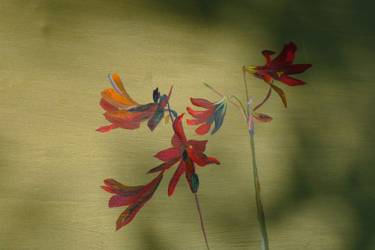 Detail, Schoolhouse Lilies Detail, Schoolhouse Lilies