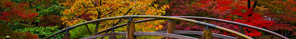 Japanese Garden Japanese Garden