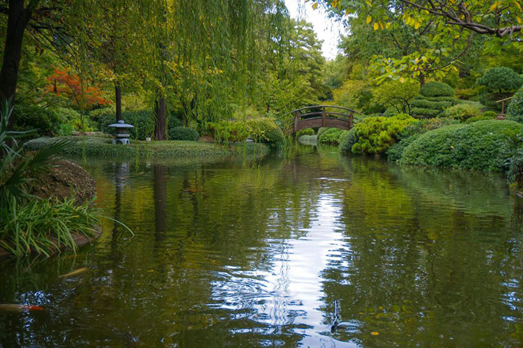 The Moon Bridge The Moon Bridge