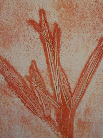 Jennifer Stufflebeam - Frond Jennifer Stufflebeam - Frond