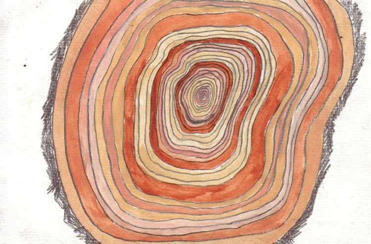 Jessica Fuentes - Tree Ring Postcard Jessica Fuentes - Tree Ring Postcard