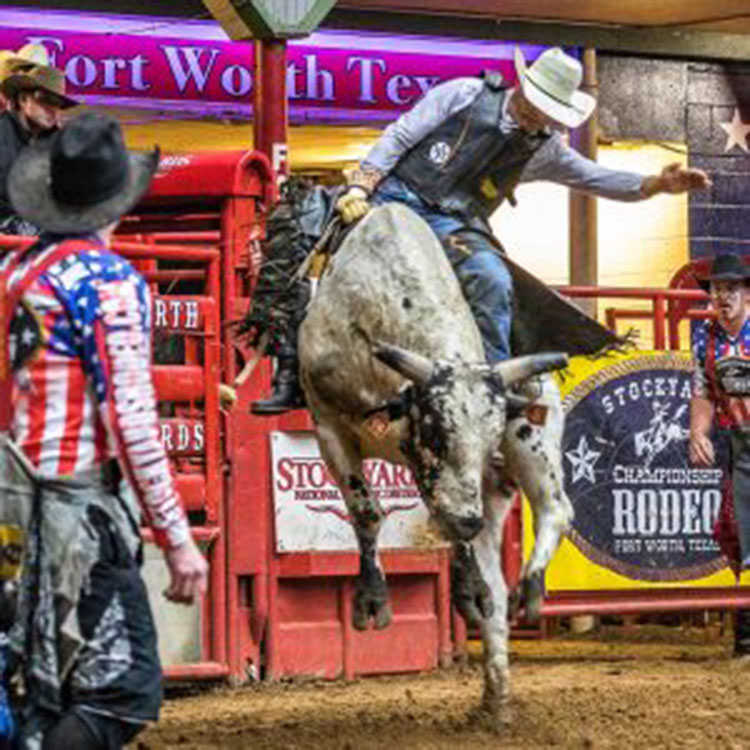 Stockyards Championship Rodeo
