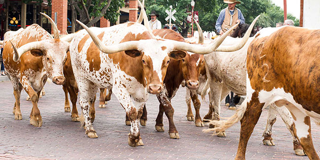 Stockyards National Historic District
